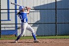 Softball vs Springfield  Wheaton College Softball vs Springfield College. - Photo by Keith Nordstrom : Wheaton, Softball